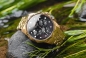 Preview: Vostok Europe Vilnelė Chrono JS20-125B751B