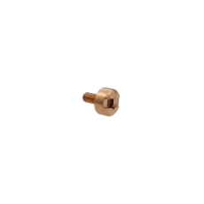 Vostok Europe Engine strap screw BRONZE